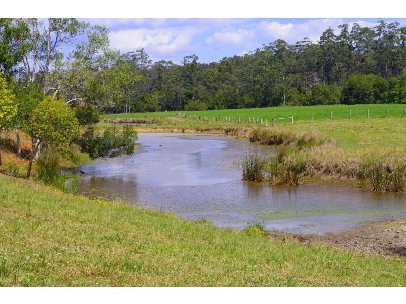 421 Bellangry Road, Bellangry NSW 2446