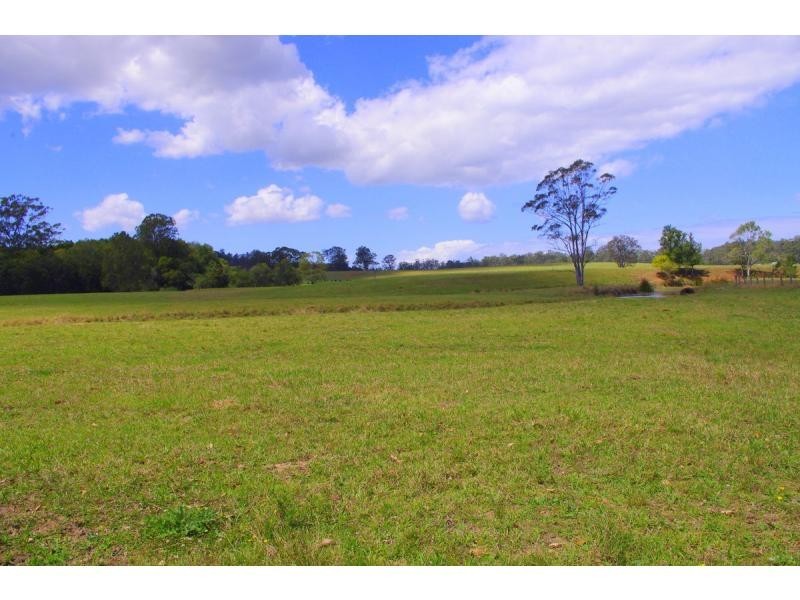 421 Bellangry Road, Bellangry NSW 2446