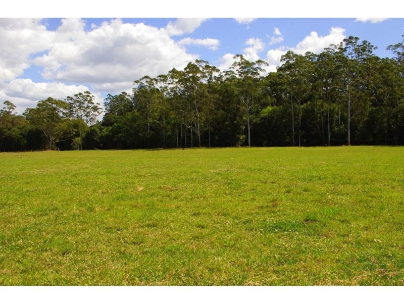 421 Bellangry Road, Bellangry NSW 2446