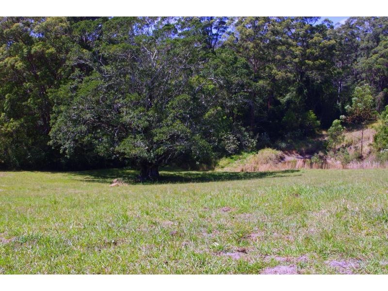 L31 Tallowood Lane, Hannam Vale NSW 2443