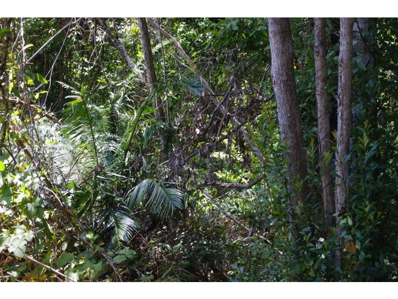 L31 Tallowood Lane, Hannam Vale NSW 2443