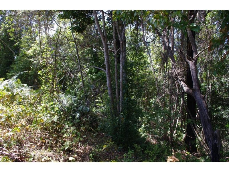 L31 Tallowood Lane, Hannam Vale NSW 2443