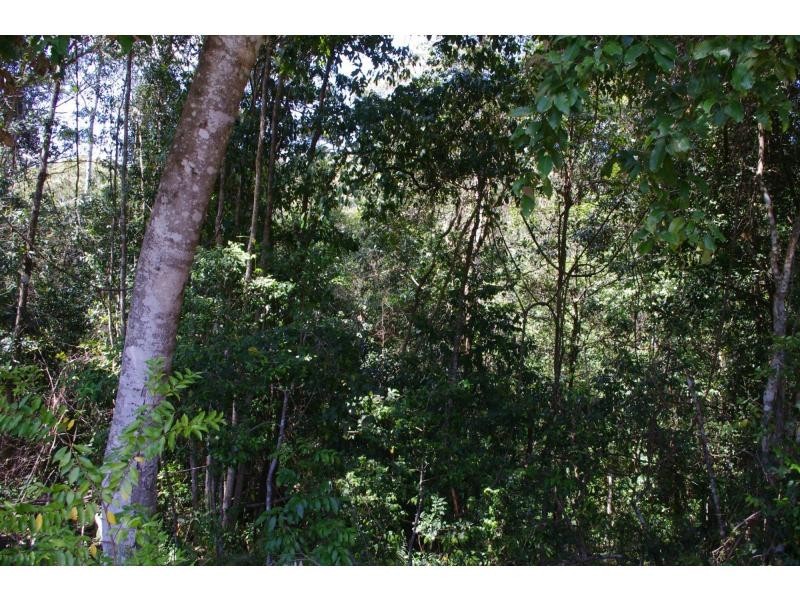 L31 Tallowood Lane, Hannam Vale NSW 2443