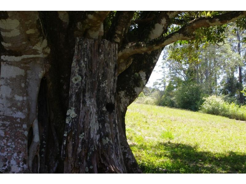 L31 Tallowood Lane, Hannam Vale NSW 2443