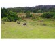 367 Innes View Road, Comboyne NSW 2429