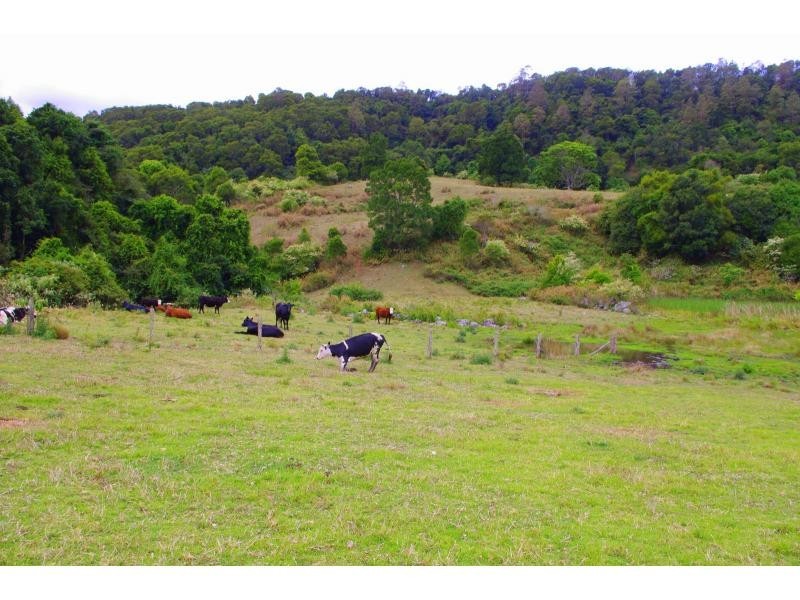 367 Innes View Road, Comboyne NSW 2429