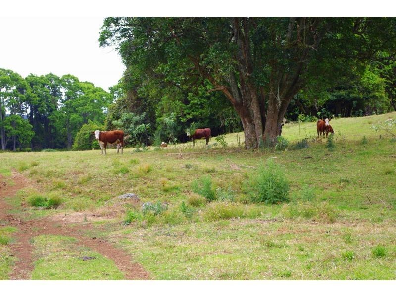 367 Innes View Road, Comboyne NSW 2429