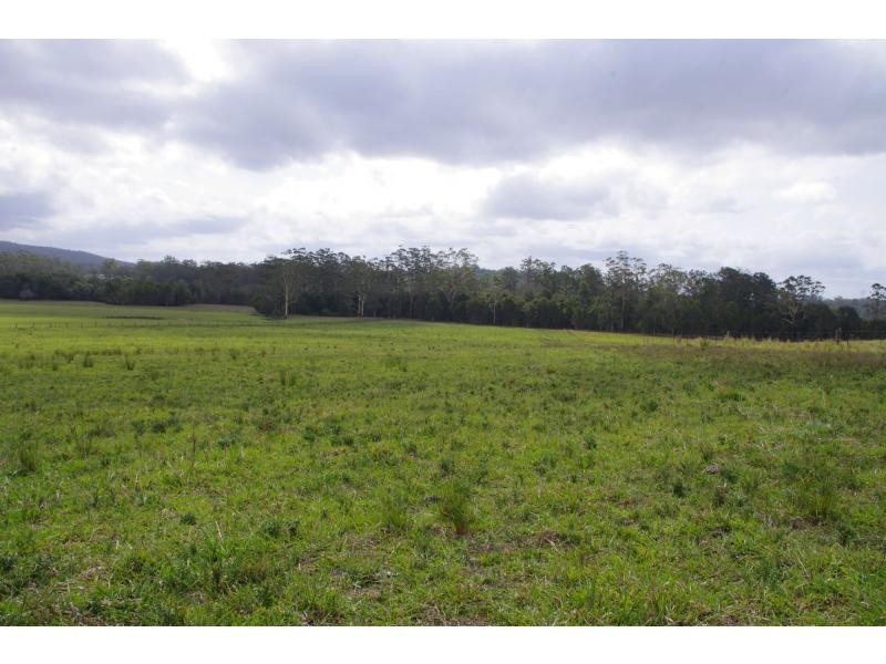 318 King Creek Road, King Creek NSW 2446