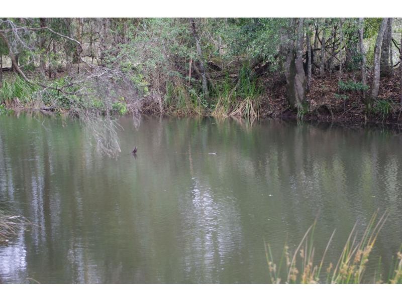 318 King Creek Road, King Creek NSW 2446