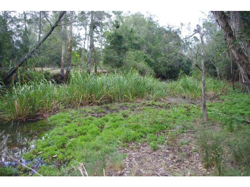 318 King Creek Road, King Creek NSW 2446