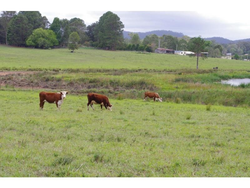 318 King Creek Road, King Creek NSW 2446