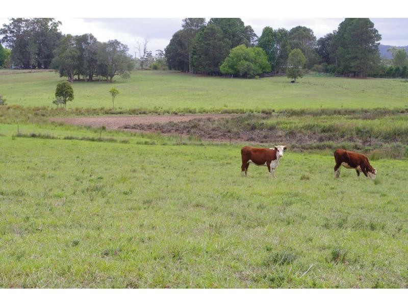 318 King Creek Road, King Creek NSW 2446