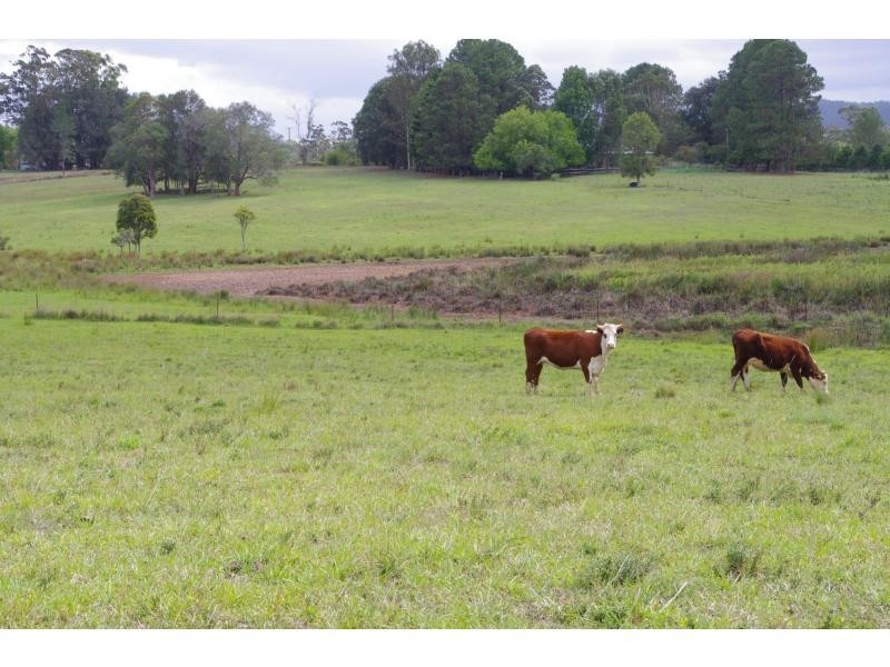 318 King Creek Road, King Creek NSW 2446