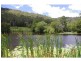 146 Andersons Road, Hannam Vale NSW 2443