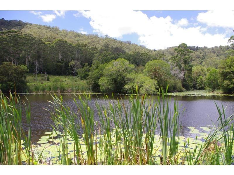 146 Andersons Road, Hannam Vale NSW 2443