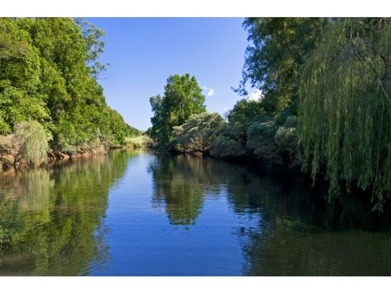 113 Koree Island Road, Beechwood NSW 2446