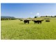 113 Koree Island Road, Beechwood NSW 2446