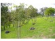 5 Jones Road, Byabarra NSW 2446