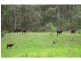 5 Jones Road, Byabarra NSW 2446