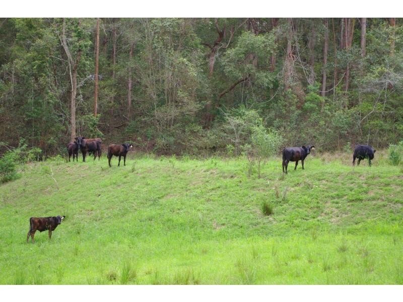 5 Jones Road, Byabarra NSW 2446