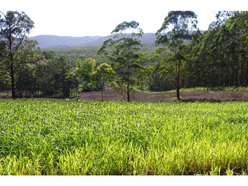 142 The Cedars Road, Bellangry NSW 2446