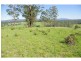 142 The Cedars Road, Bellangry NSW 2446