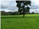 597 Littles Loop Road, Rollands Plains NSW 2441