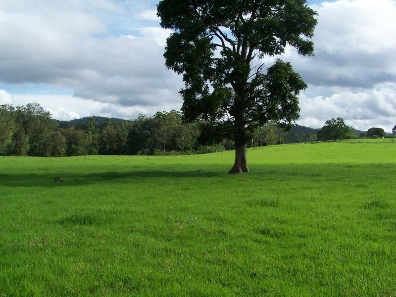 597 Littles Loop Road, Rollands Plains NSW 2441