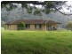 597 Littles Loop Road, Rollands Plains NSW 2441