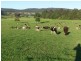 597 Littles Loop Road, Rollands Plains NSW 2441
