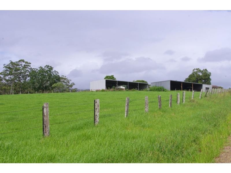 597 Littles Loop Road, Rollands Plains NSW 2441