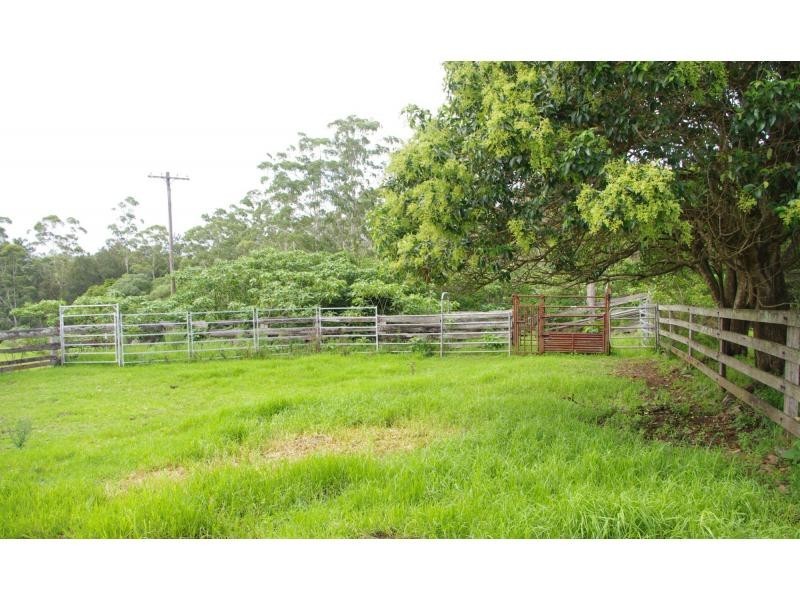 597 Littles Loop Road, Rollands Plains NSW 2441