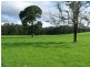 597 Littles Loop Road, Rollands Plains NSW 2441