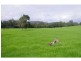 597 Littles Loop Road, Rollands Plains NSW 2441