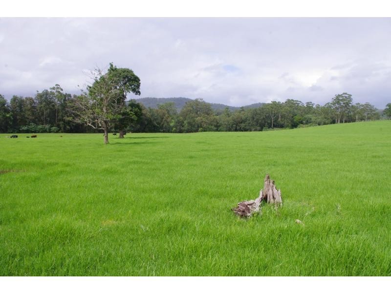 597 Littles Loop Road, Rollands Plains NSW 2441