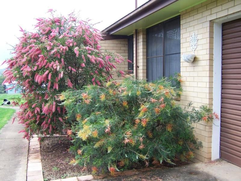 597 Littles Loop Road, Rollands Plains NSW 2441