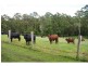 426 Bril Bril Road, Rollands Plains NSW 2441