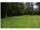 426 Bril Bril Road, Rollands Plains NSW 2441