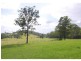 426 Bril Bril Road, Rollands Plains NSW 2441