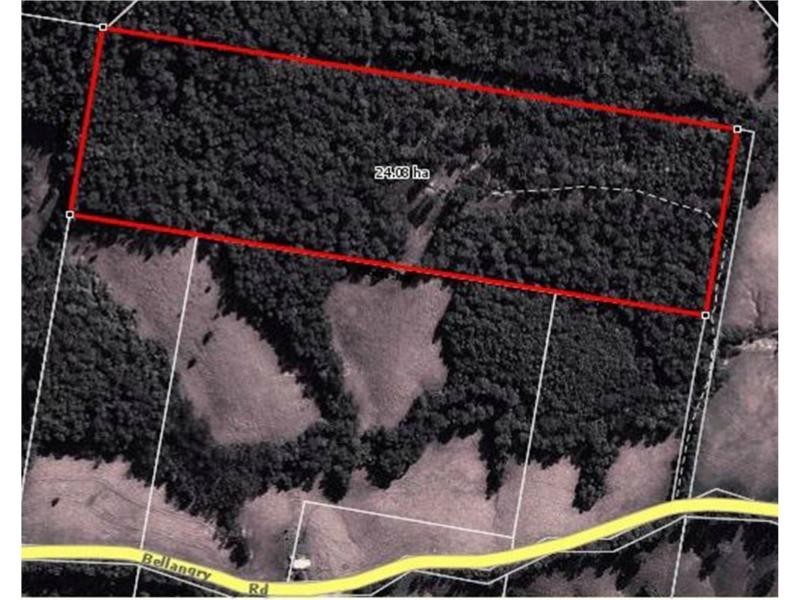 1604 Bellangry Road, Bellangry NSW 2446