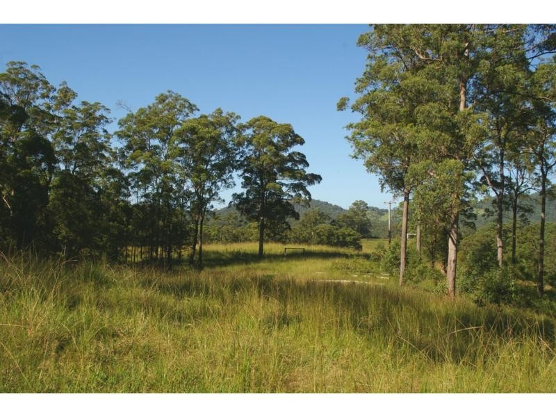 1604 Bellangry Road, Bellangry NSW 2446