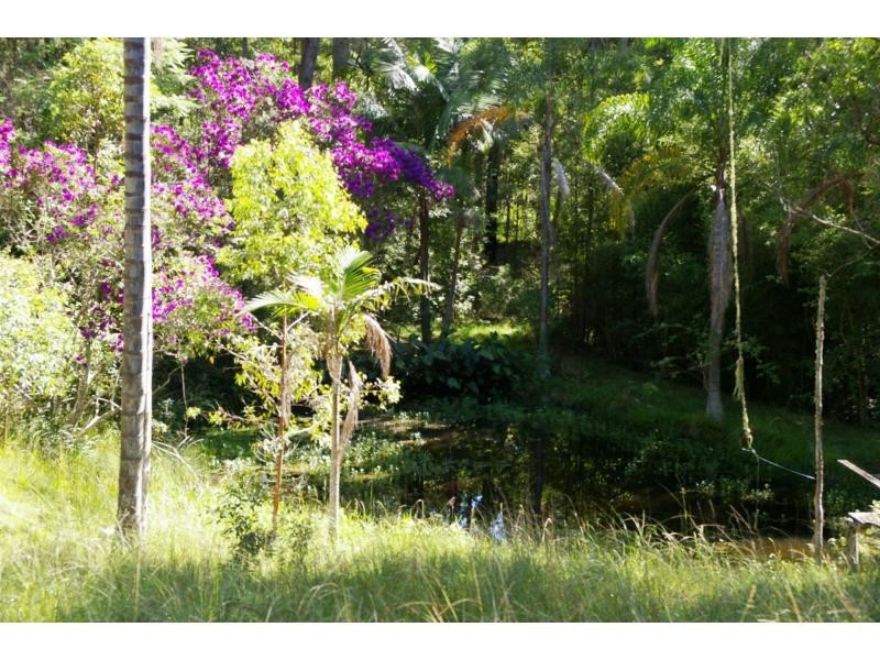 1604 Bellangry Road, Bellangry NSW 2446