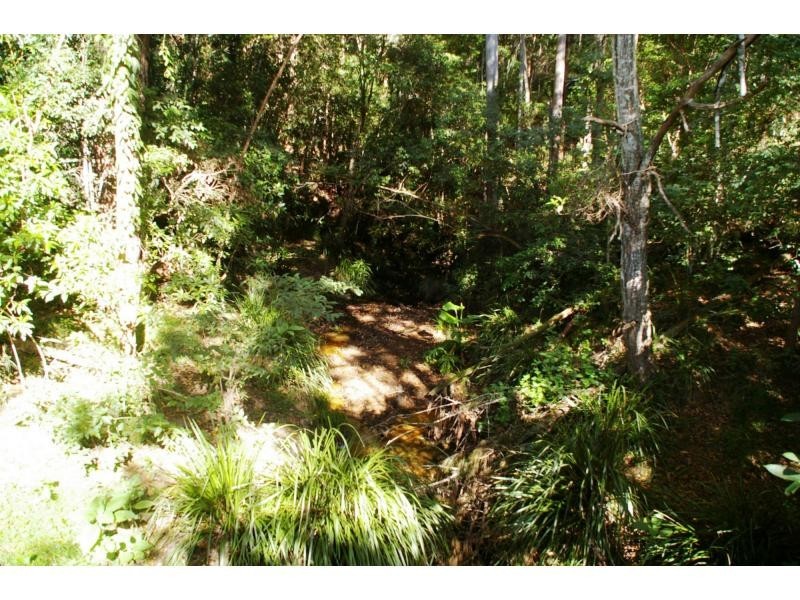 1604 Bellangry Road, Bellangry NSW 2446