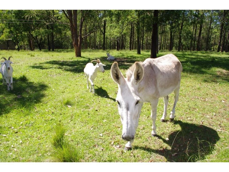 35 Lantana Road, Byabarra NSW 2446