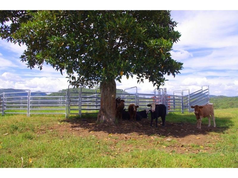 5816 Oxley Highway, Ellenborough NSW 2446