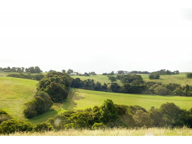 3684 Wingham Road, Comboyne NSW 2429