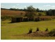 260 King Creek Road, King Creek NSW 2446