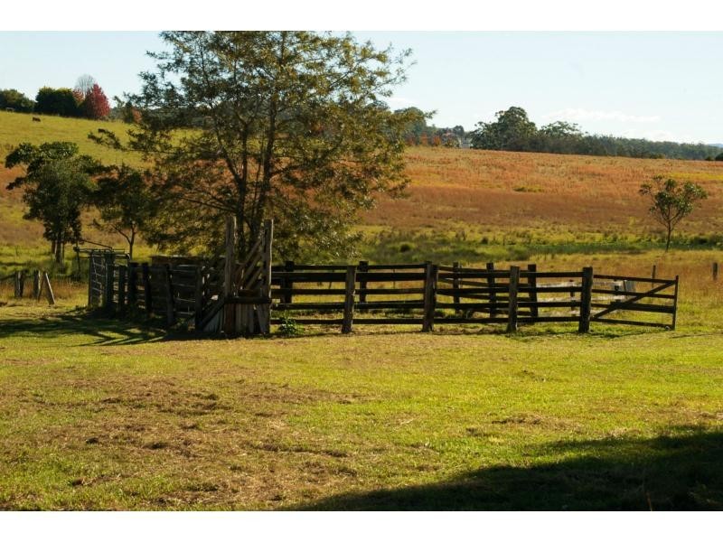 260 King Creek Road, King Creek NSW 2446