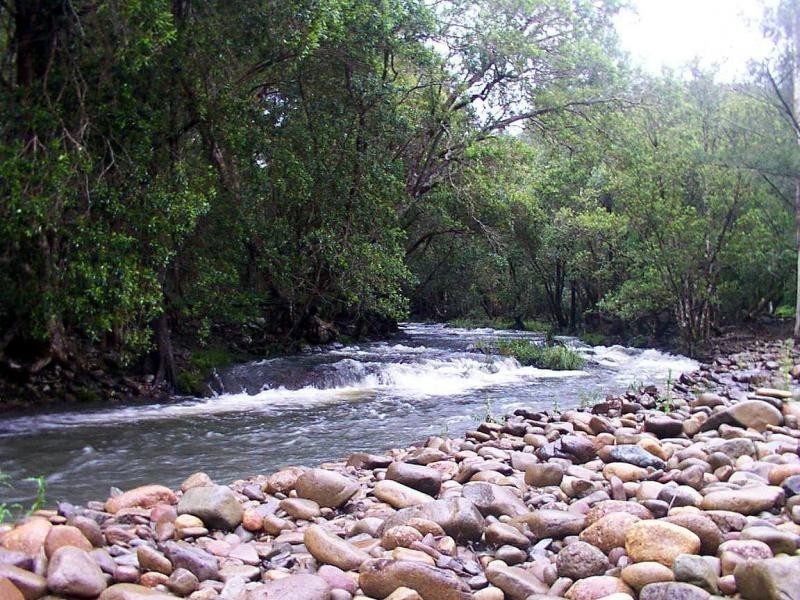 1150 Forbes River Road, Birdwood NSW 2446