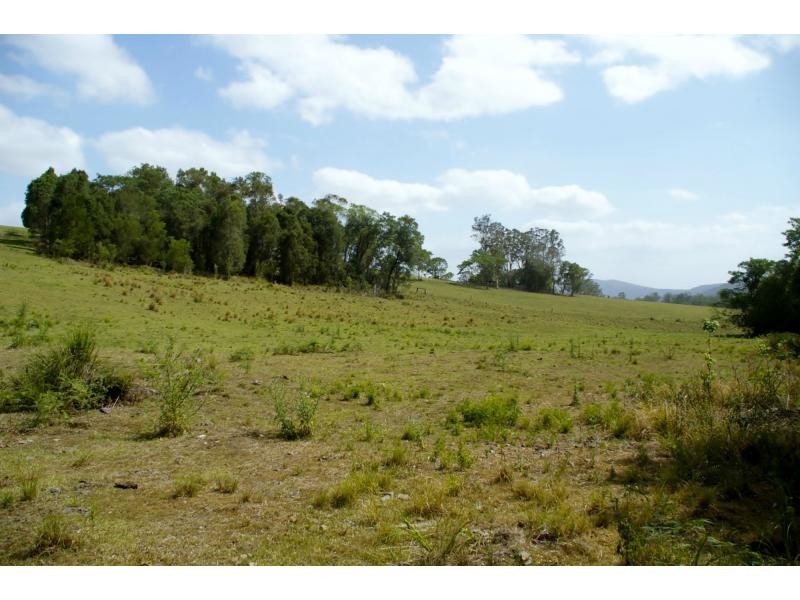 1150 Forbes River Road, Birdwood NSW 2446